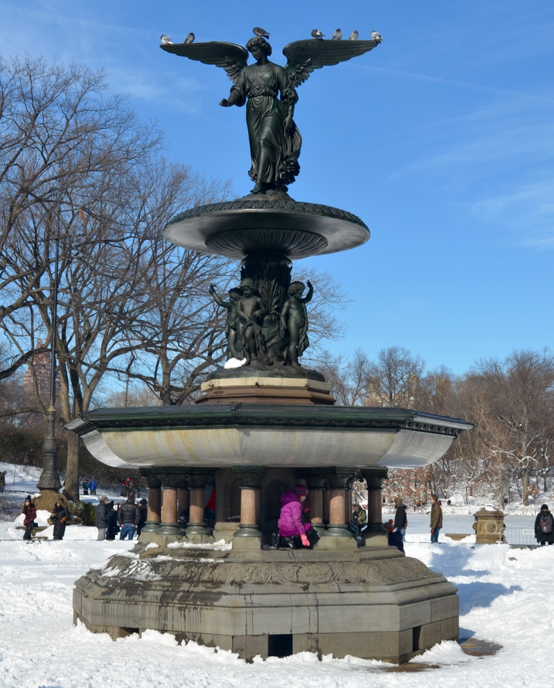 Illustration for article titled Central Park: After the Storm